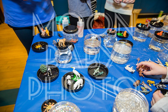 Pelham Education Foundation Exploratorium 2017 for The Pelham Post
