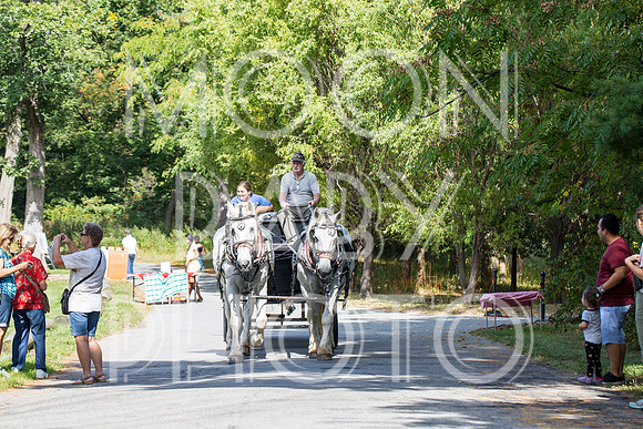 Bartow Pell Mansion Museum Fall Festival 2017 October BPMM Bronx NY