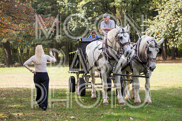 Bartow Pell Mansion Museum Fall Festival 2017 October BPMM Bronx NY