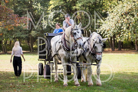 Bartow Pell Mansion Museum Fall Festival 2017 October BPMM Bronx NY