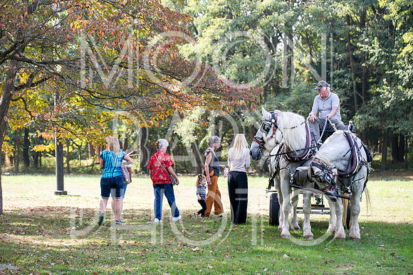 Bartow Pell Mansion Museum Fall Festival 2017 October BPMM Bronx NY