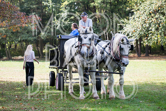 Bartow Pell Mansion Museum Fall Festival 2017 October BPMM Bronx NY