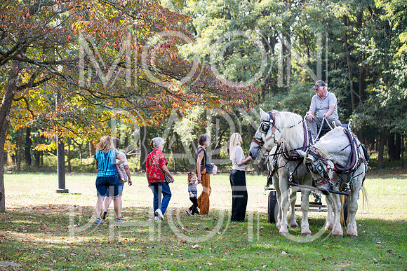 Bartow Pell Mansion Museum Fall Festival 2017 October BPMM Bronx NY