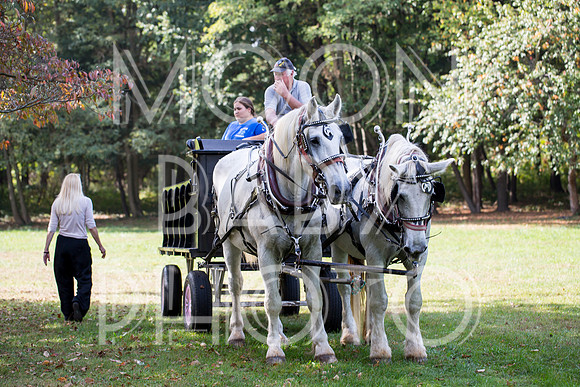 Bartow Pell Mansion Museum Fall Festival 2017 October BPMM Bronx NY