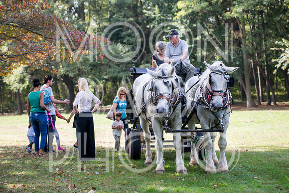 Bartow Pell Mansion Museum Fall Festival 2017 October BPMM Bronx NY
