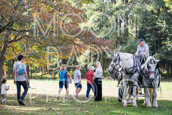 Bartow Pell Mansion Museum Fall Festival 2017 October BPMM Bronx NY