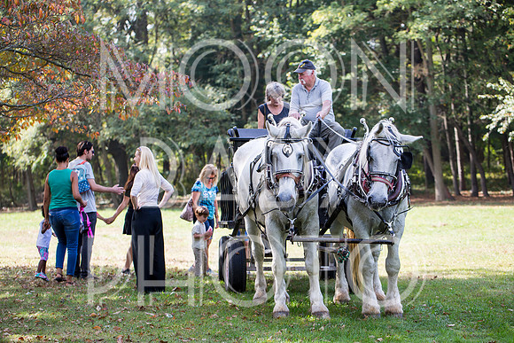 Bartow Pell Mansion Museum Fall Festival 2017 October BPMM Bronx NY