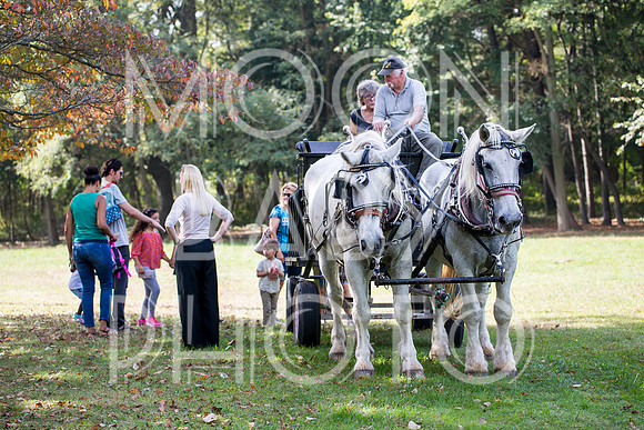 Bartow Pell Mansion Museum Fall Festival 2017 October BPMM Bronx NY