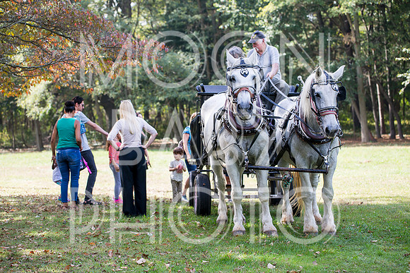 Bartow Pell Mansion Museum Fall Festival 2017 October BPMM Bronx NY