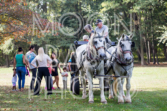 Bartow Pell Mansion Museum Fall Festival 2017 October BPMM Bronx NY
