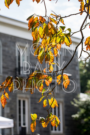Bartow Pell Mansion Museum Fall Festival 2017 October BPMM Bronx NY