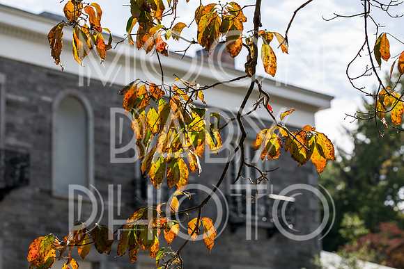 Bartow Pell Mansion Museum Fall Festival 2017 October BPMM Bronx NY