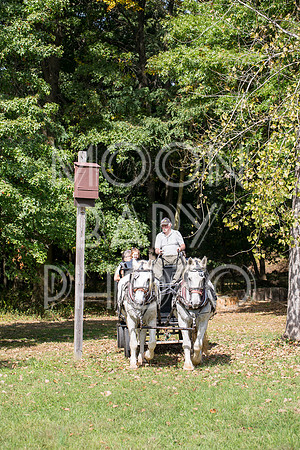 Bartow Pell Mansion Museum Fall Festival 2017 October BPMM Bronx NY