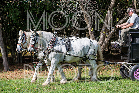Bartow Pell Mansion Museum Fall Festival 2017 October BPMM Bronx NY