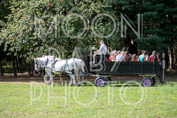 Bartow Pell Mansion Museum Fall Festival 2017 October BPMM Bronx NY