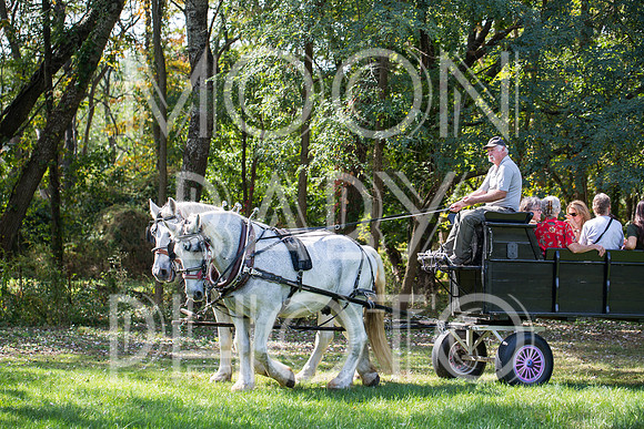 Bartow Pell Mansion Museum Fall Festival 2017 October BPMM Bronx NY
