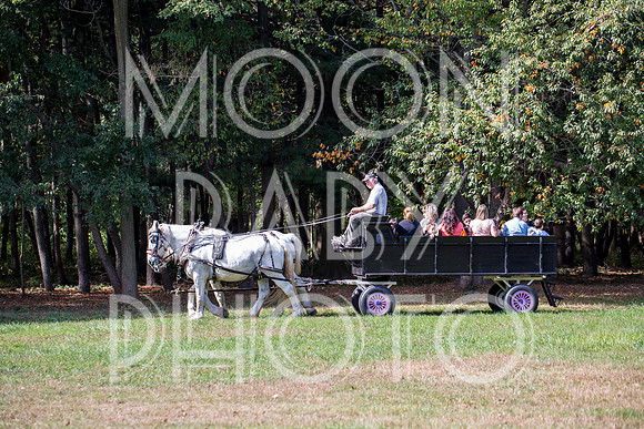 Bartow Pell Mansion Museum Fall Festival 2017 October BPMM Bronx NY