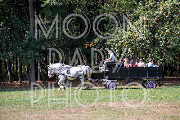 Bartow Pell Mansion Museum Fall Festival 2017 October BPMM Bronx NY