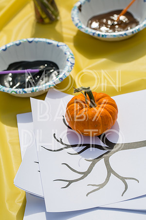 Bartow Pell Mansion Museum Fall Festival 2017 October BPMM Bronx NY