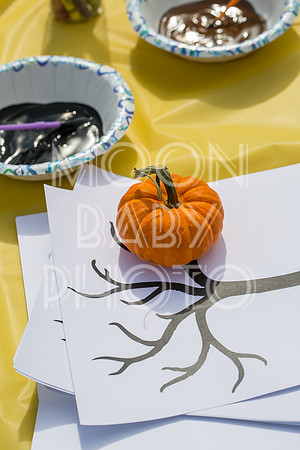 Bartow Pell Mansion Museum Fall Festival 2017 October BPMM Bronx NY