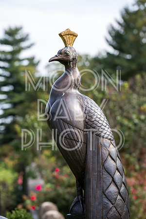 Bartow Pell Mansion Museum Fall Festival 2017 October BPMM Bronx NY