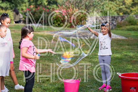 Bartow Pell Mansion Museum Fall Festival 2017 October BPMM Bronx NY