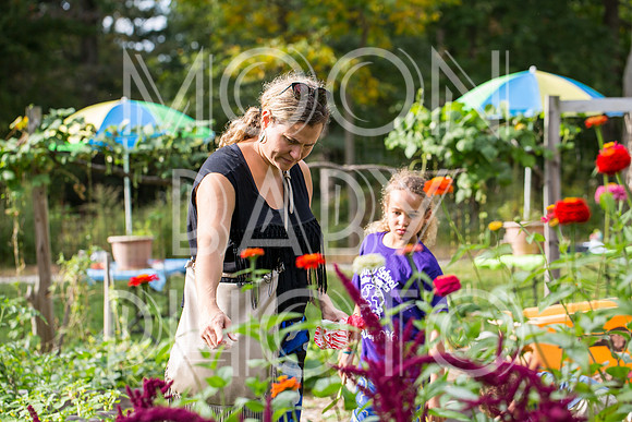 Bartow Pell Mansion Museum Fall Festival 2017 October BPMM Bronx NY