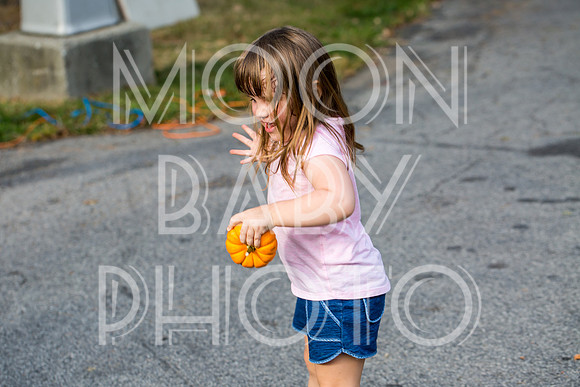 Bartow Pell Mansion Museum Fall Festival 2017 October BPMM Bronx NY