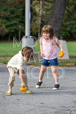Bartow Pell Mansion Museum Fall Festival 2017 October BPMM Bronx NY