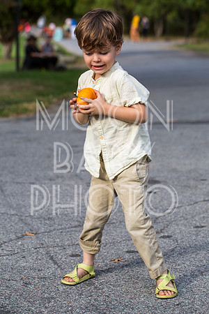 Bartow Pell Mansion Museum Fall Festival 2017 October BPMM Bronx NY
